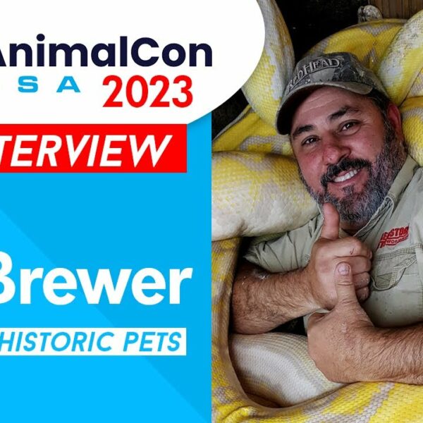 Jay Brewer Interview – AnimalCon USA 2023