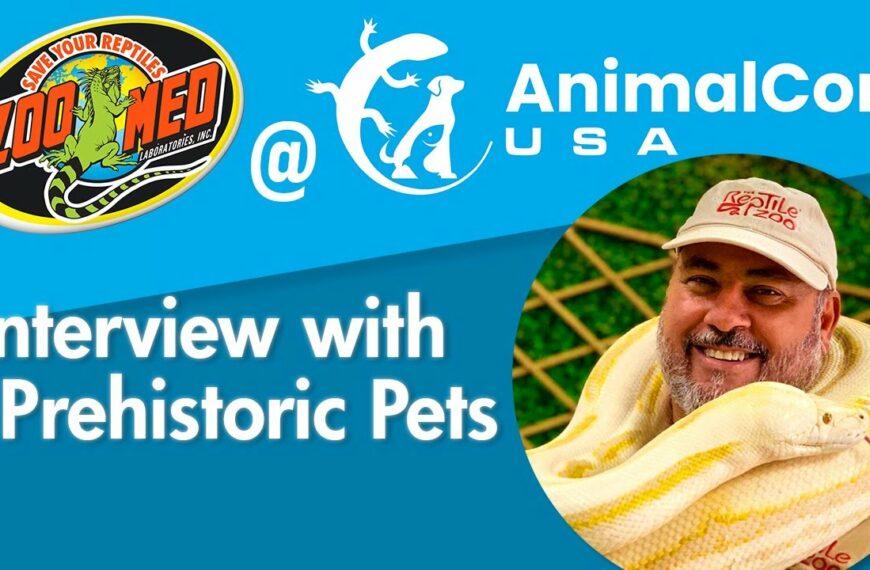 Prehistoric Pets Interview with Jay Brewer – AnimalCon USA 2022